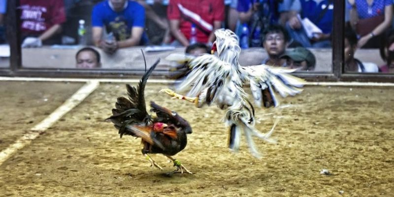 vietjack ﻿đăng nhập lô đề uy tín