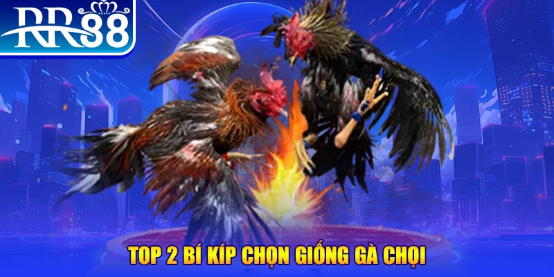 vietjack bắn cá h5