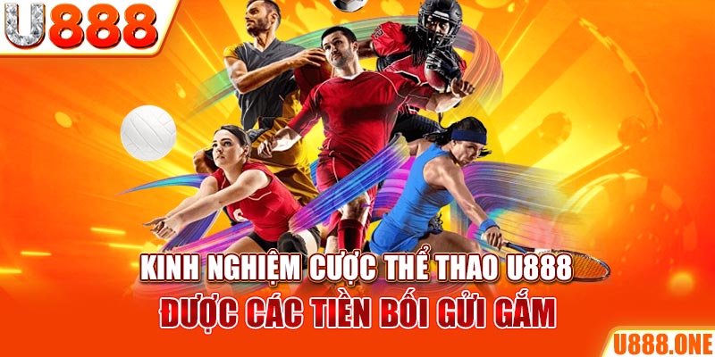 vietjack ÁT CHỦ BÀI GIÀNH LẤY ZHUANG NIUNIU ( XEM 3 LÁ )
