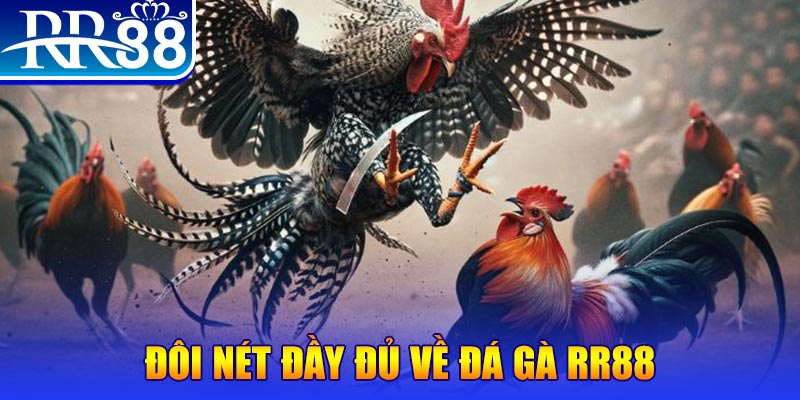 vietjack gà chọi hoà phong