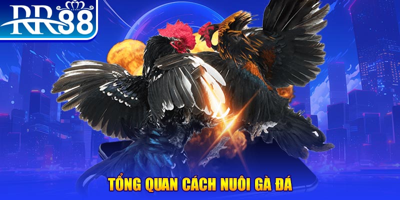 vietjack xổ số thứ ba