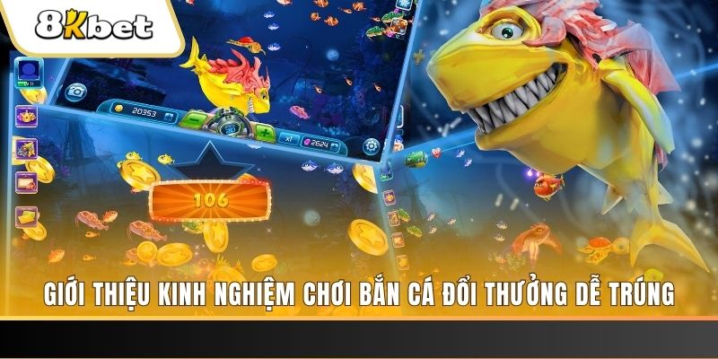vietjack xổ số miền bắc hôm