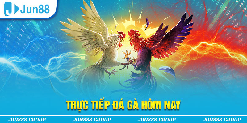 vietjack trực tiếp đá gà thomo