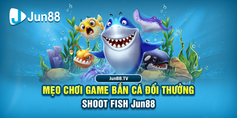 vietjack tải game đánh bài online về máy tính