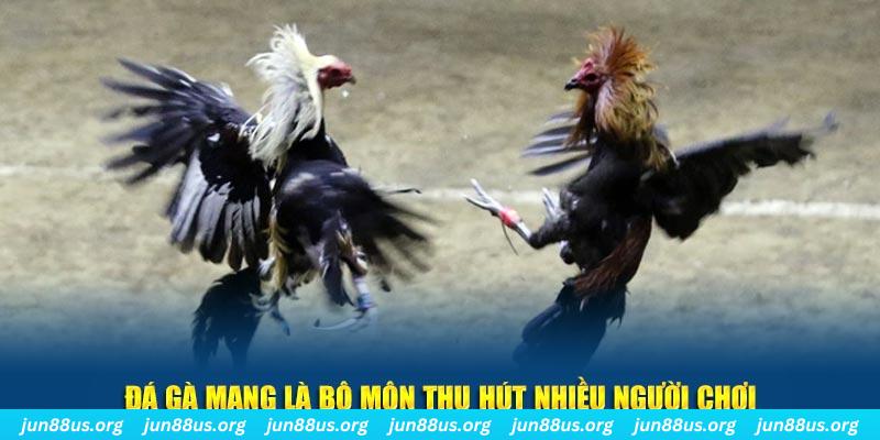 vietjack xổ số long an