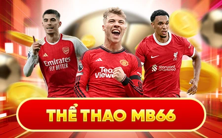 vietjack game bài trên máy tính