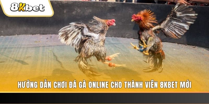 vietjack nổ hũ đổi thưởng . ai