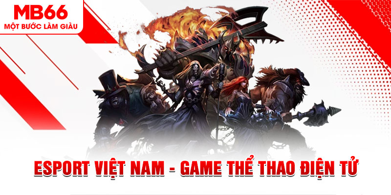 vietjack PT Điện Tử