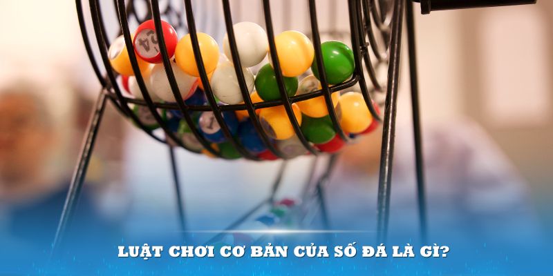 vietjack Đĩa màu ace