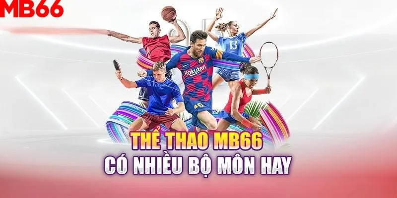 vietjack slot là gì nghĩa