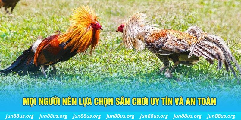 vietjack Tài Xỉu
