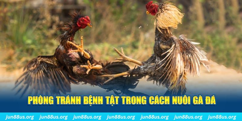vietjack natural” trong baccarat nghĩa là gì？
