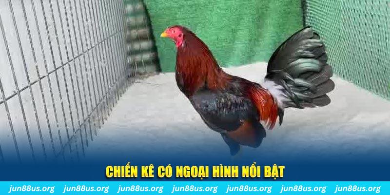 vietjack nhạc slot là gì